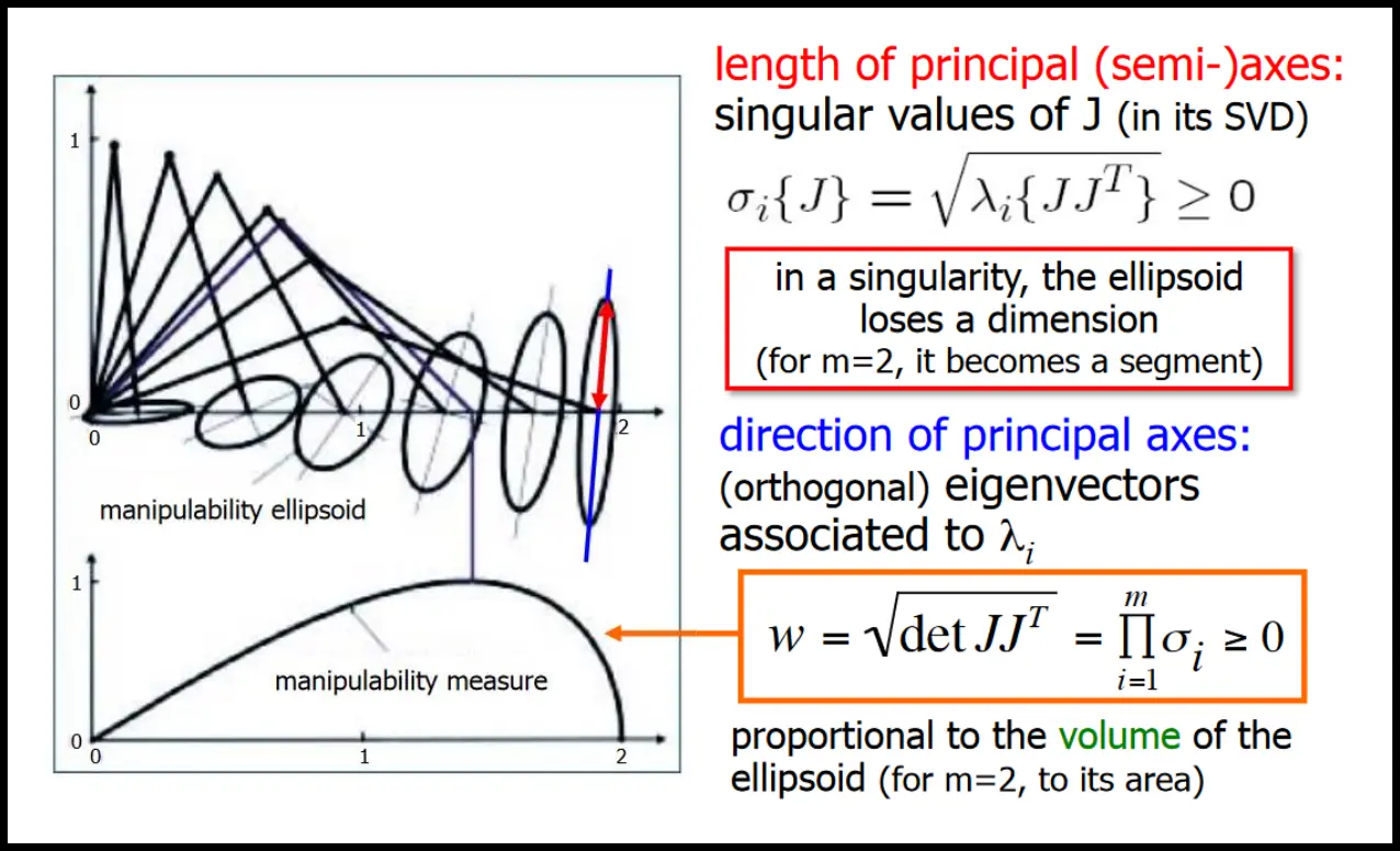 Velocity and force manipulability.