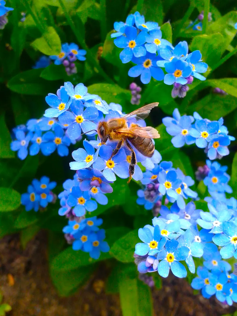 Photo from 2015/06/06