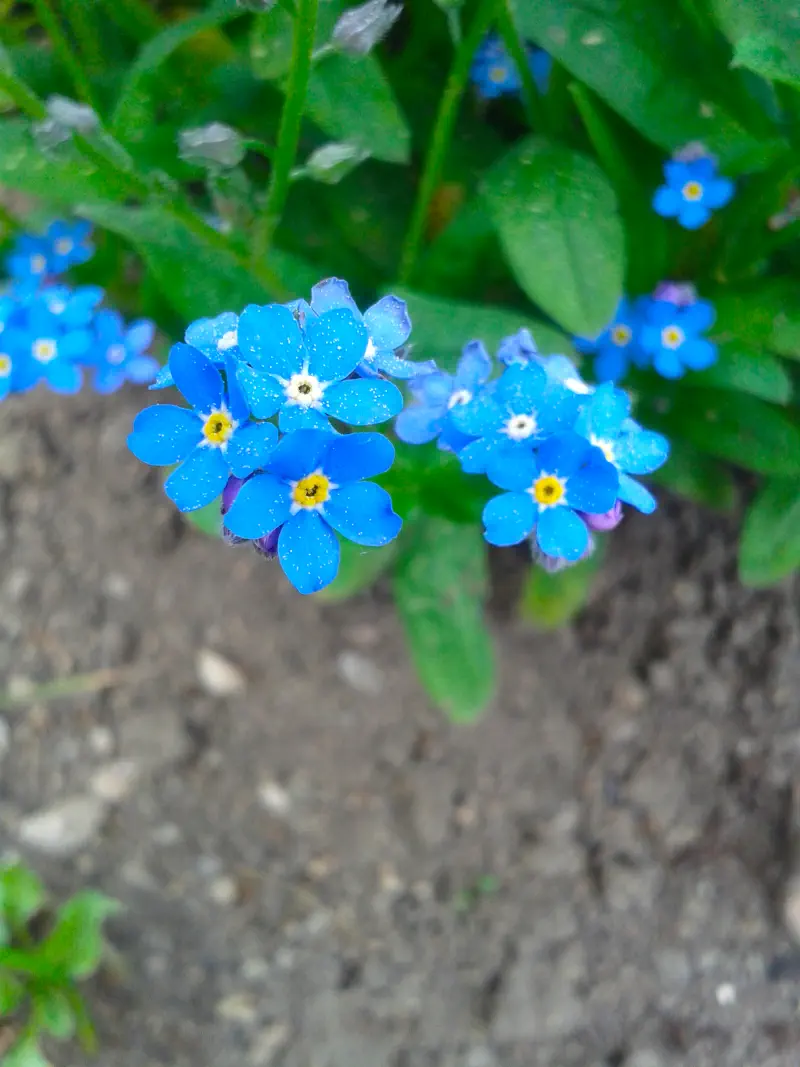 Photo from 2015/06/08