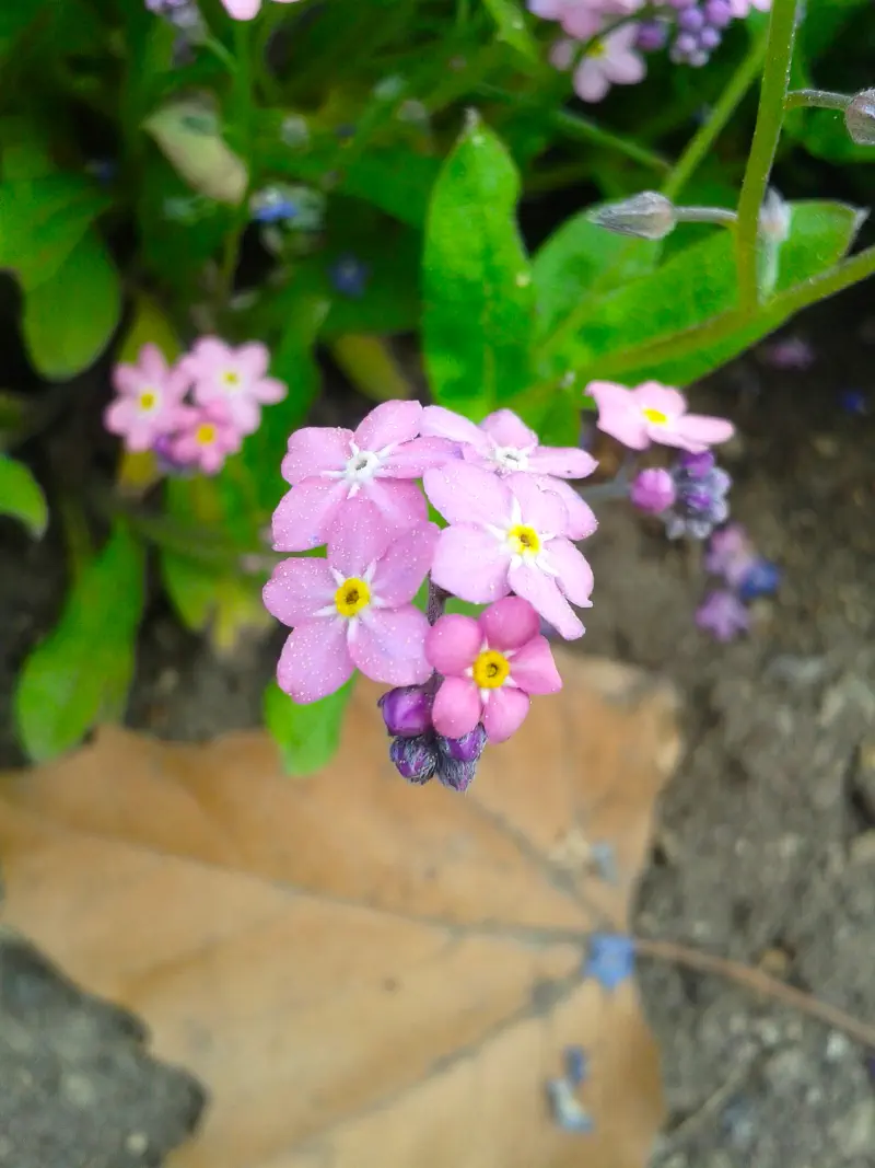 Photo from 2015/06/08