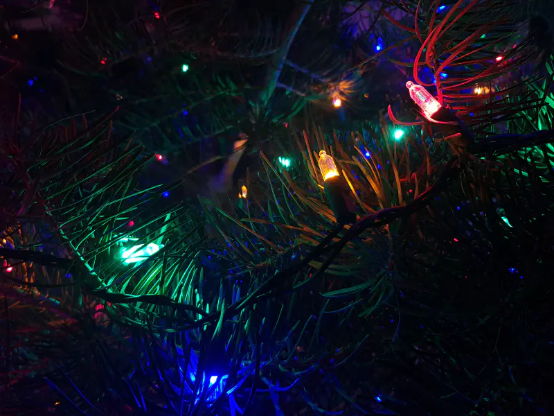 Photo from 2017/12/25