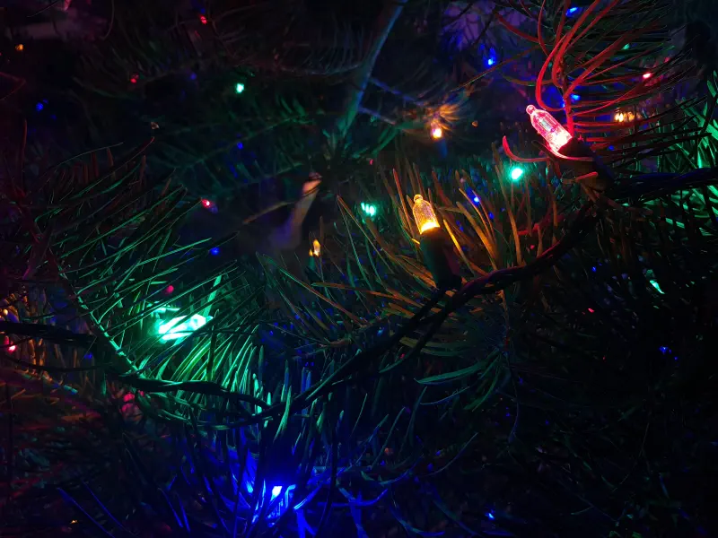 Photo from 2017/12/25