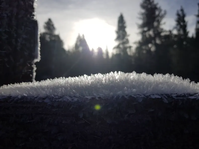 Photo from 2020/10/02