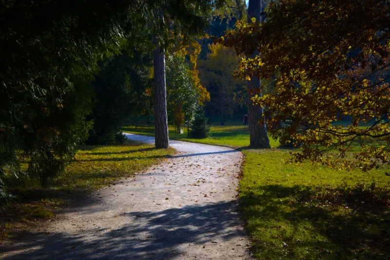 Photo from 2021/10/31