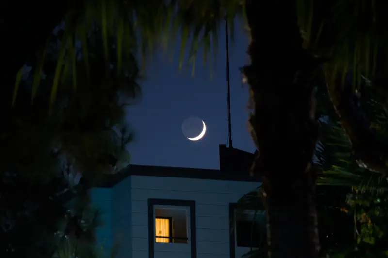 Photo from 2024/07/14