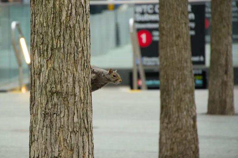 Photo from 2024/07/18