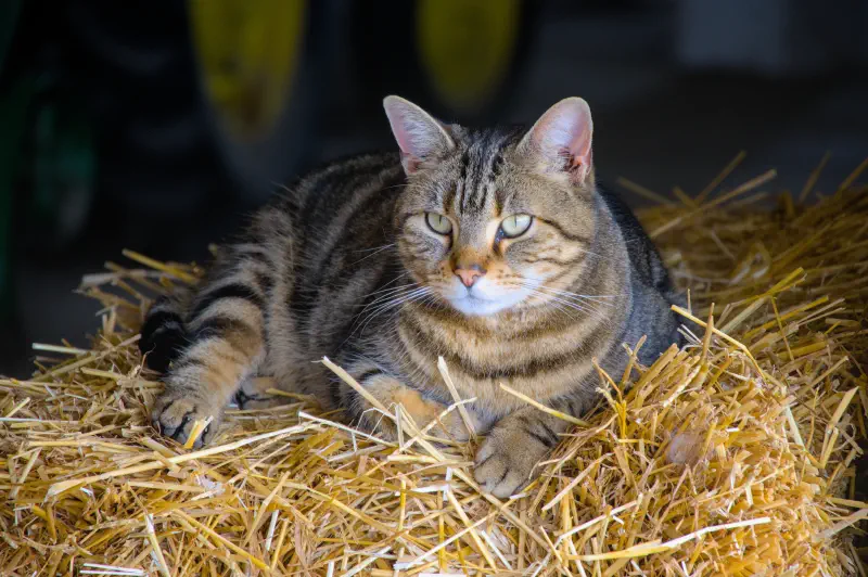 Photo from 2024/08/07