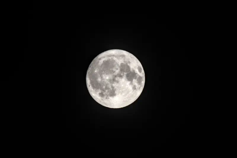 Photo from 2024/08/12