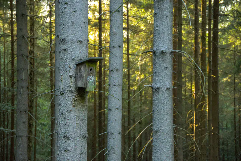 Photo from 2024/08/16