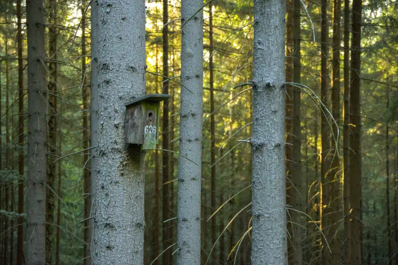 Photo from 2024/08/16