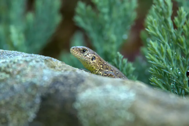 Photo from 2024/08/18