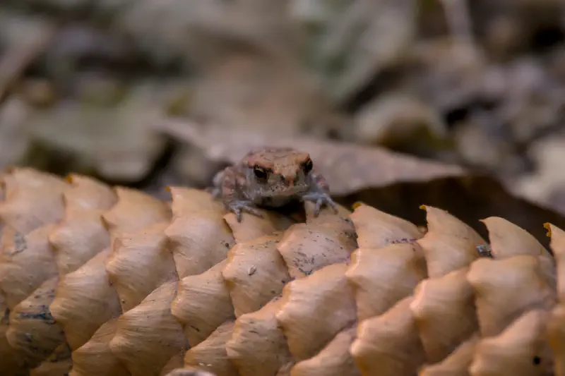 Photo from 2024/08/25