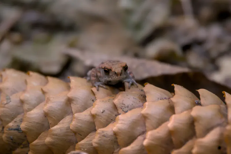 Photo from 2024/08/25