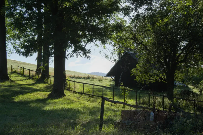 Photo from 2024/08/30