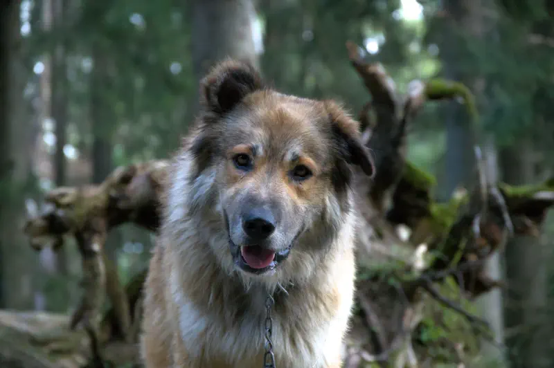 Photo from 2024/09/06