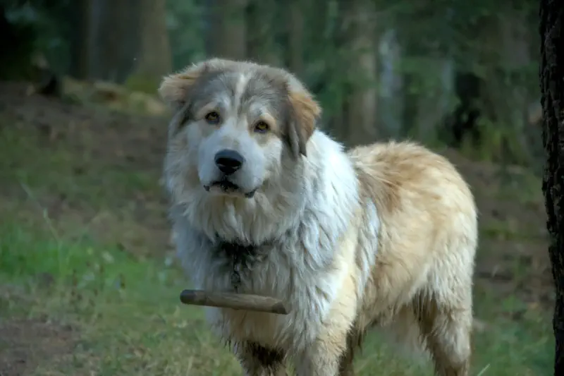 Photo from 2024/09/09