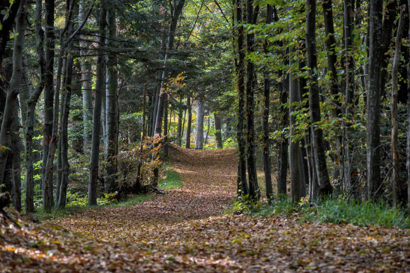 Photo from 2024/09/11