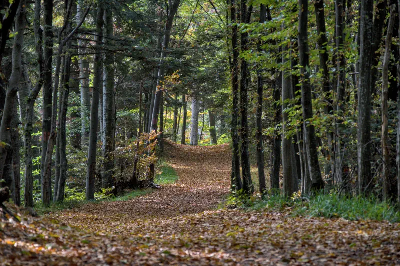 Photo from 2024/09/11