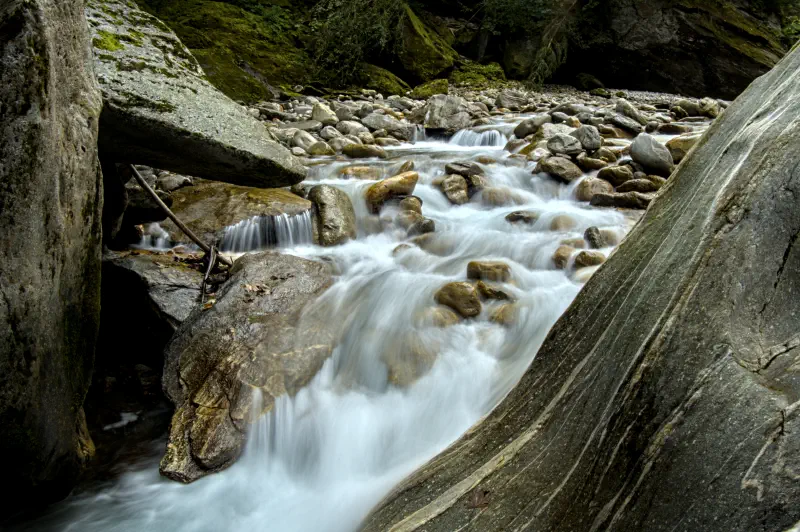 Photo from 2024/09/25