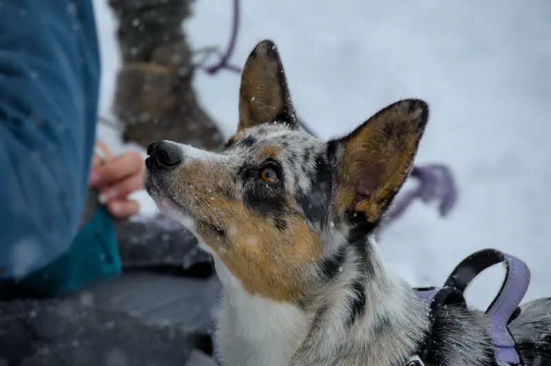 Photo from 2024/09/28