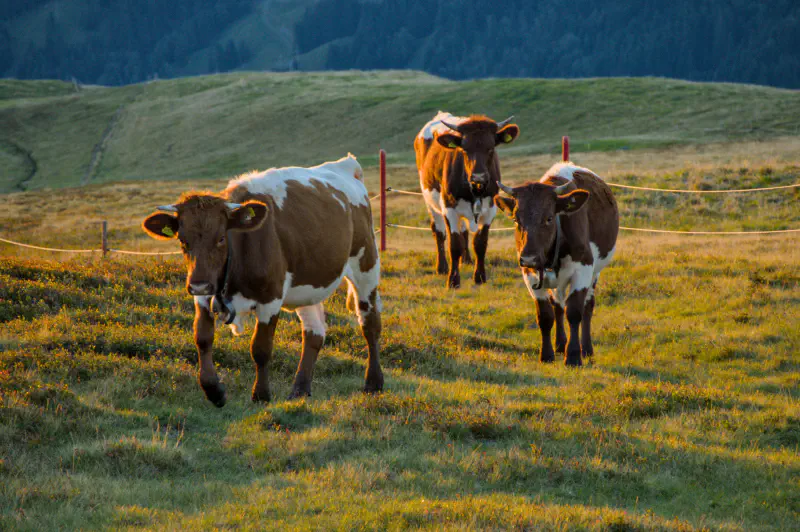 Photo from 2024/10/07