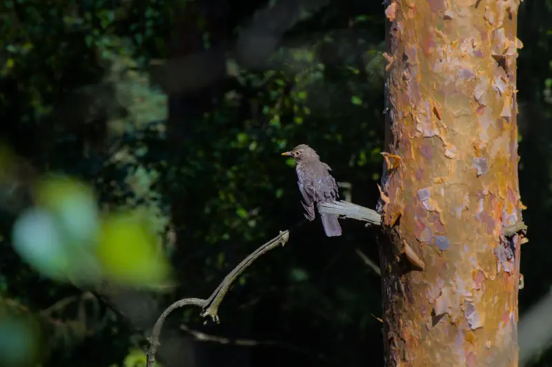 Photo from 2024/10/10