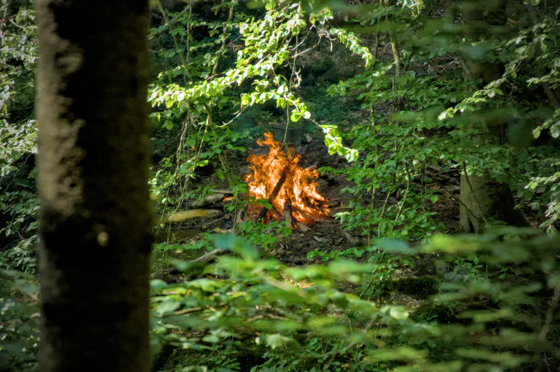 Photo from 2024/10/13