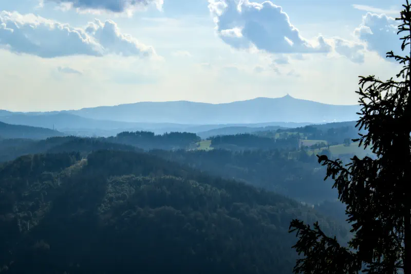 Photo from 2024/10/16