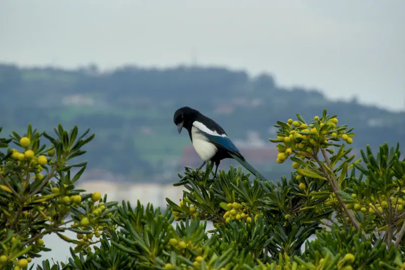 Photo from 2024/11/06