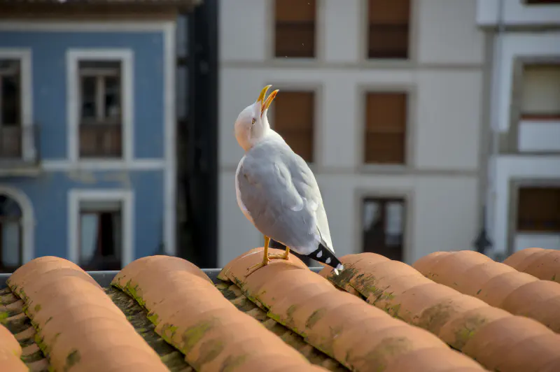 Photo from 2024/11/10