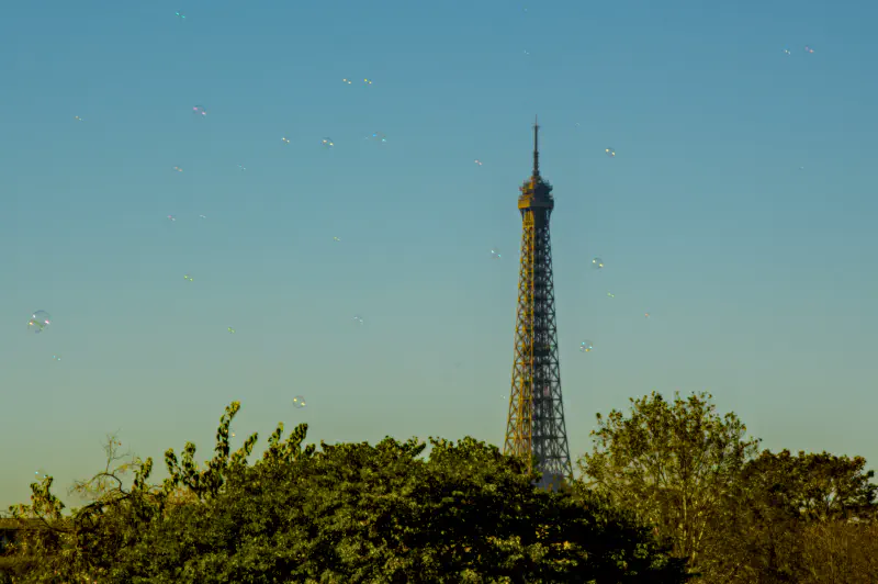 Photo from 2024/11/14