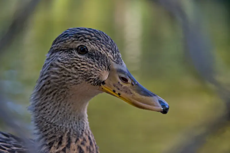 Photo from 2024/11/20