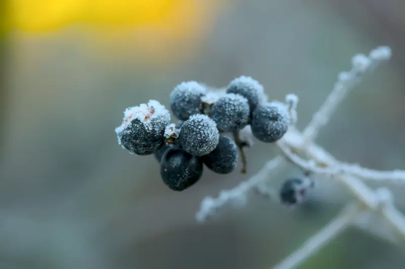 Photo from 2025/01/02