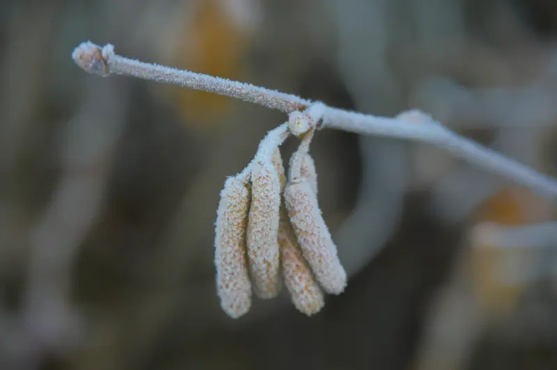 Photo from 2025/01/05