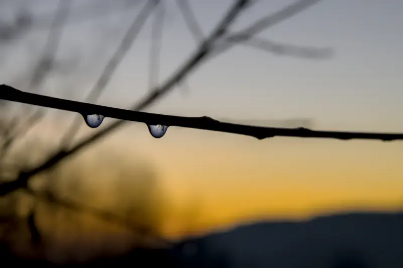 Photo from 2025/03/16