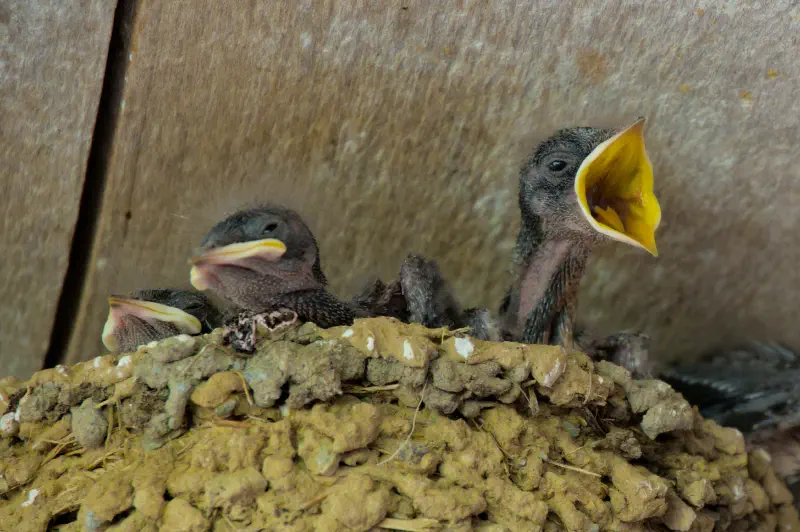 Photo from 2025/08/19