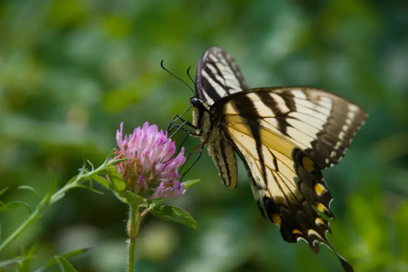 Photo from 2025/08/19