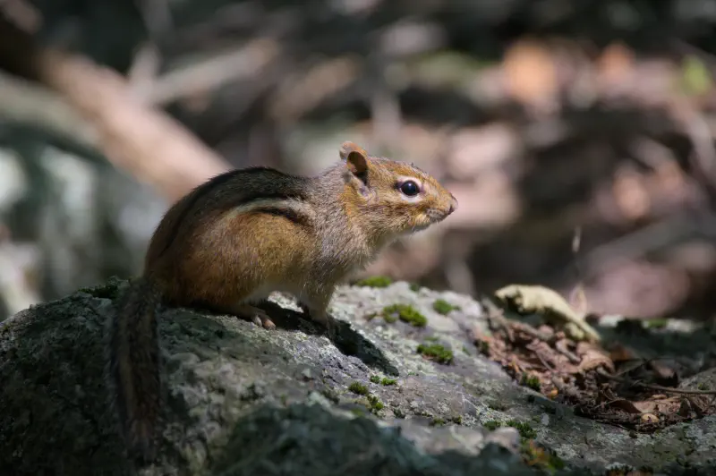Photo from 2025/08/19