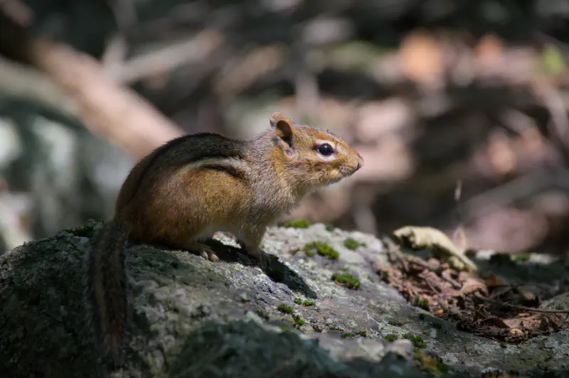 Photo from 2025/08/19