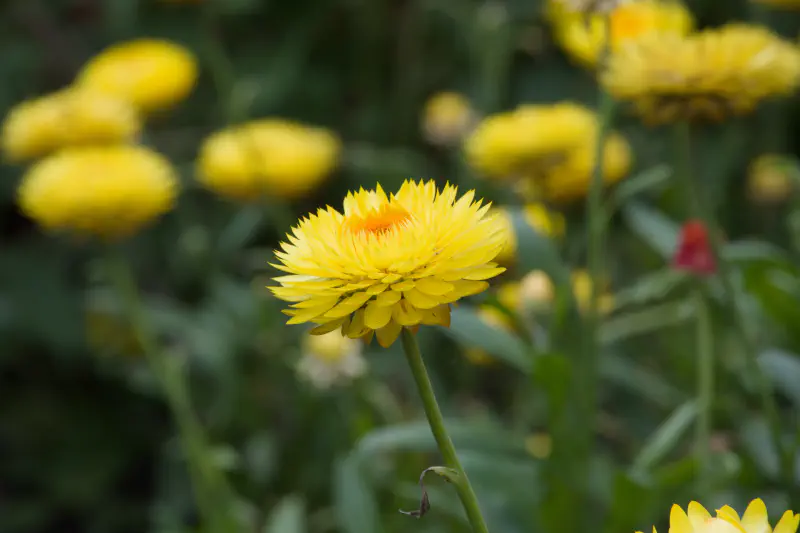 Photo from 2025/08/19