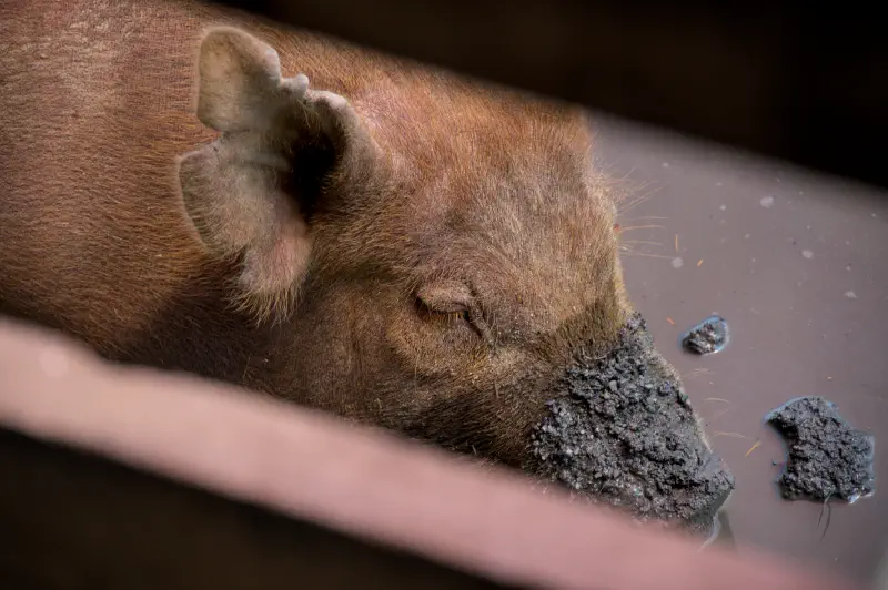 Photo from 2025/08/19