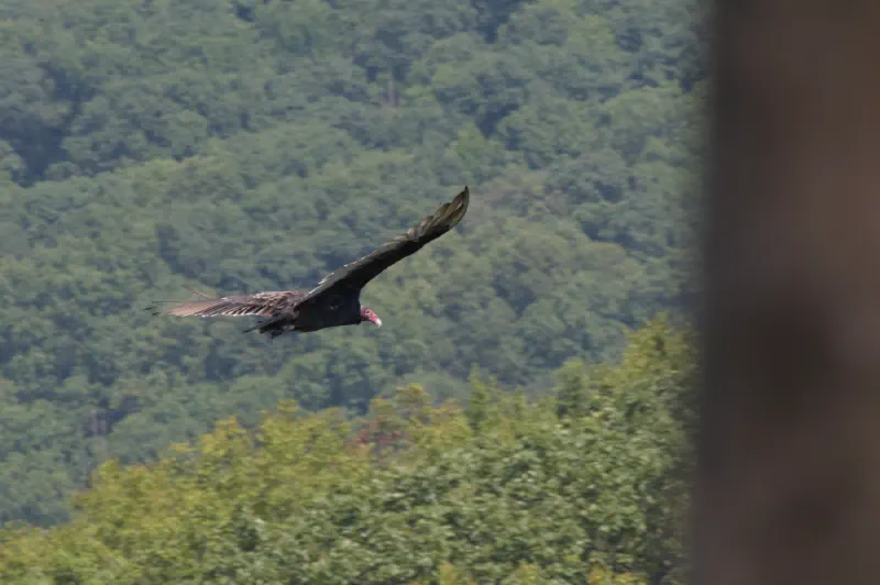 Photo from 2025/08/19