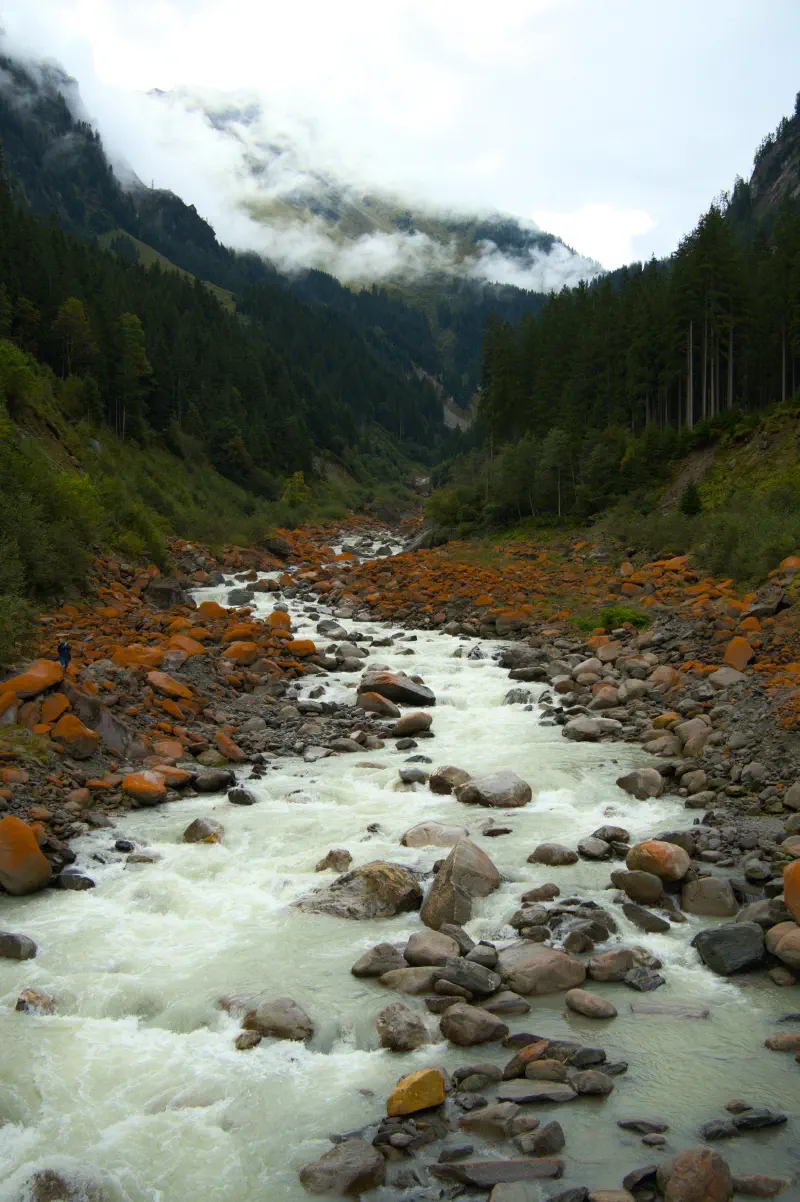 Photo from 2025/09/12