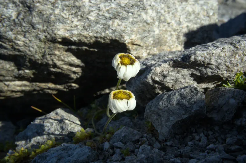 Summit attempt 2, image 4