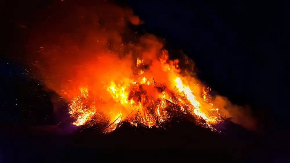 Compressed picture of the category fire.