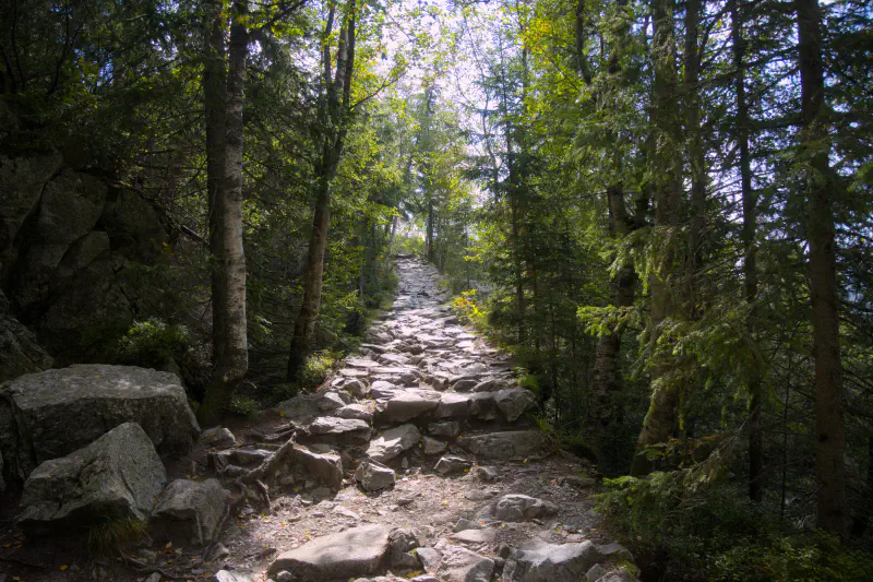 Day 1: from ascent. All members alive and in good spirits.